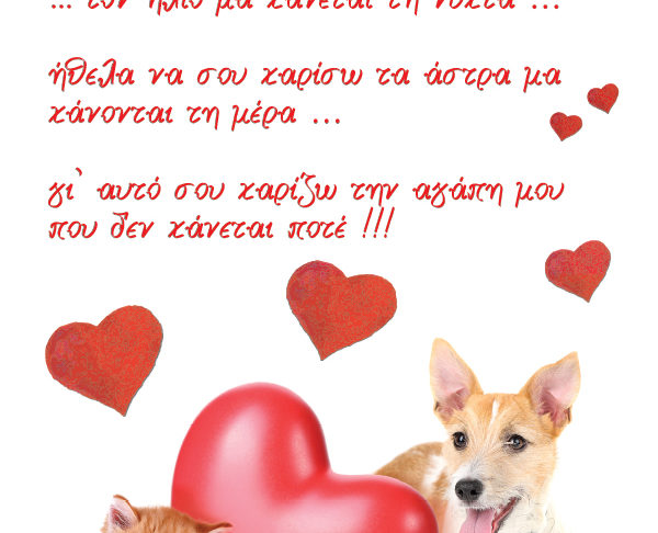 ΕΥΧΕΤΗΡΙΑ ΚΑΡΤΑ VALENTINES: A1532