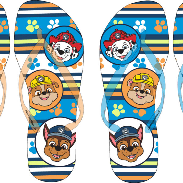 ΑΓΟΡΙΣΤΙΚΕΣ ΣΑΓΙΟΝΕΣ Paw Patrol