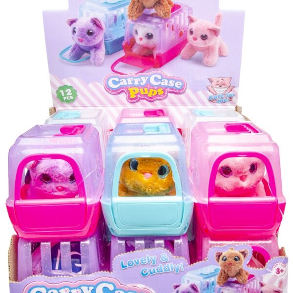 Λούτρινο Γάτα σε κουτί μεταφοράς