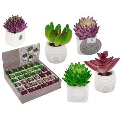 Μαγνήτης, παχύφυτο σε λευκή γλάστρα, 3 x 5 cm