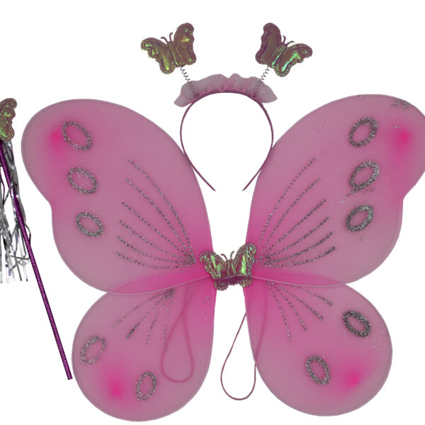 ΣΕΤ (ΦΤΕΡΑ-ΣΤΕΚΑ-ΡΑΒΔΑΚΙ) ΑΠΟΚΡΙΕΣ